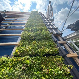 Entdecken Sie unsere Projekte